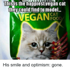 vegan cat.png