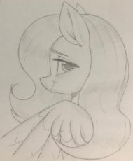 3658081__safe_artist-colon-aquaticvibes_derpibooru+import_fluttershy_pegasus_pony_g4_bust_female_grayscale_image_jpeg_lidded+eyes_looking+at+you_lookin.jpeg