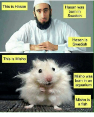 hamster muslim sweden.png