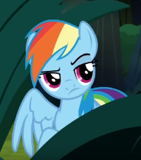 1213113__safe_screencap_rainbow+dash_stranger+than+fan+fiction_pony_solo.png