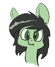 Filly Scrunch.png