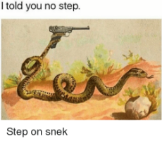 told-you-no-step-step-on-snek-13069829.png