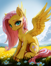 3757924__safe_artist-colon-p0nyphobic_derpibooru+import_fluttershy_pegasus_pony_g4_female_image_jpeg_looking+at+you_mare_solo_spread+wings_wings.jpeg