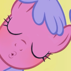 export202601140833494600.png