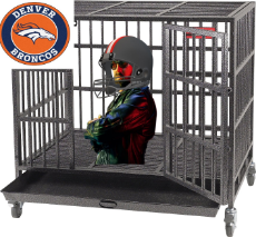 nicolas cage in a cage.jpg