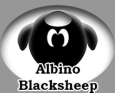 weekly-website-albino-blacksheep.png