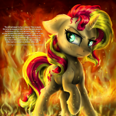 sunset dramatic.jpg
