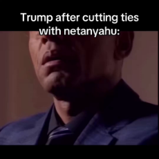 dPDdALAHHVZBVmgd.mp4