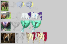 7335144__explicit_imported+from+twibooru_cherry+jubilee_derpy+hooves_lyra+heartstrings_rarity_earth+pony_horse_pegasus_pony_unicorn_anatomically+correct_anus_cl.jpg