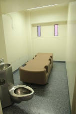 suicide resistant cell 1.jpg
