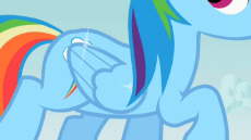 IMG_7966.gif