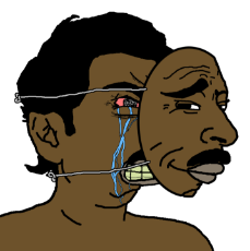 412908356.png