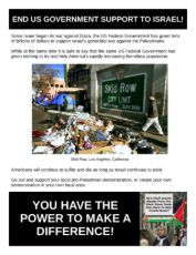 End US Government Support for Israel flier.png