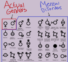 2_genders.jpg