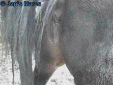 tumblr_n5vt6aQFtY1sylbvto1_400.gif