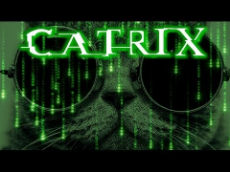 Catrix.jpg