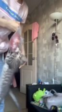 Determined Kitty Clings to Food Bag.mp4
