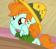 apricot-filly.png