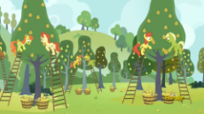 1503521.png