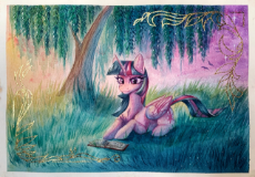 twilight wiese buch.jpg
