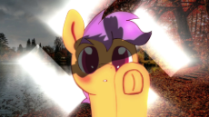 ss.webm
