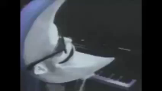 1742877116826296.webm
