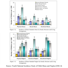 Child Abuse and Family Structure (NIS-4).png