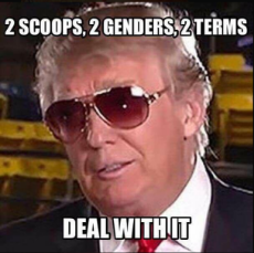 2 scoops.PNG