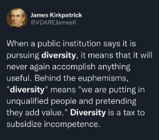 public-institution-pursuing-diversity.jpeg