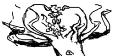 Oekaki.png