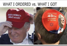 x952.jpg