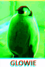 glowie-penguin.gif