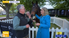 mare noticing.webm