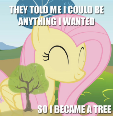784__safe_artist-colon-chrisboe4ever_derpibooru+import_fluttershy_pegasus_pony_female_fluttertree_image+macro_leafing+the+dream_mare_meme_solo_text_tre.jpeg