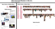 interracial_murders_2015.jpg