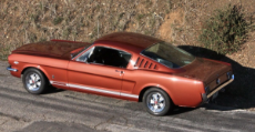 A-MARE-ican Mustang.jpg