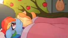 2372026__safe_rainbow+dash_applejack_bloomberg_female_pony_mare_pegasus_earth+pony_shipping_lesbian_hat_meme_bed_tree_apple_cowboy+hat_applej.png