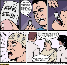 silica-gel-do-not-eat-congratulations-youve-escaped-the-simulation-welcome-to-the-real-world-comic.jpg