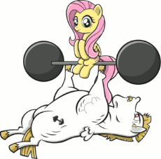 906727__safe_fluttershy_bulk+biceps_female_male_smiling_shipping_cute_straight_animated_sitting_on+back_gritted+teeth_weight+lifting_flutterbulk_benc.gif