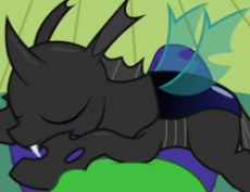 1732682093010370.gif