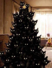 evil cat tree.jpg