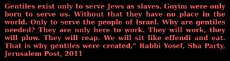 9 - Gentiles exist only to serve jews as slaves.png