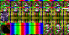 xomy.png