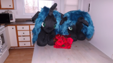 DSCF5336.JPG