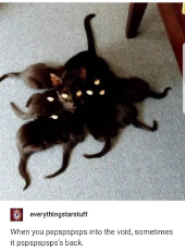 Meow.jpg