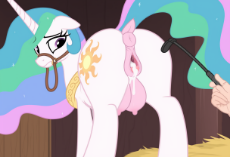 1343dff7-c18a-41a6-8f5c-bb61e940fc42.png
