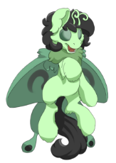 AnonFilly-MothFilly.png