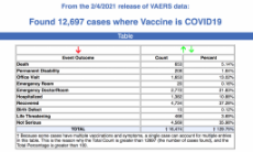 vaers-data-covid-vaccine-feb-4-1024x617.png
