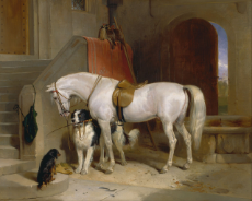 Sir_Edwin_Henry_Landseer_-_Favourites,_the_Property_of_H.R.H._Prince_George_of_Cambridge_-_Google_Art_Project.jpg