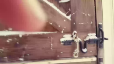 1736218053595222.webm